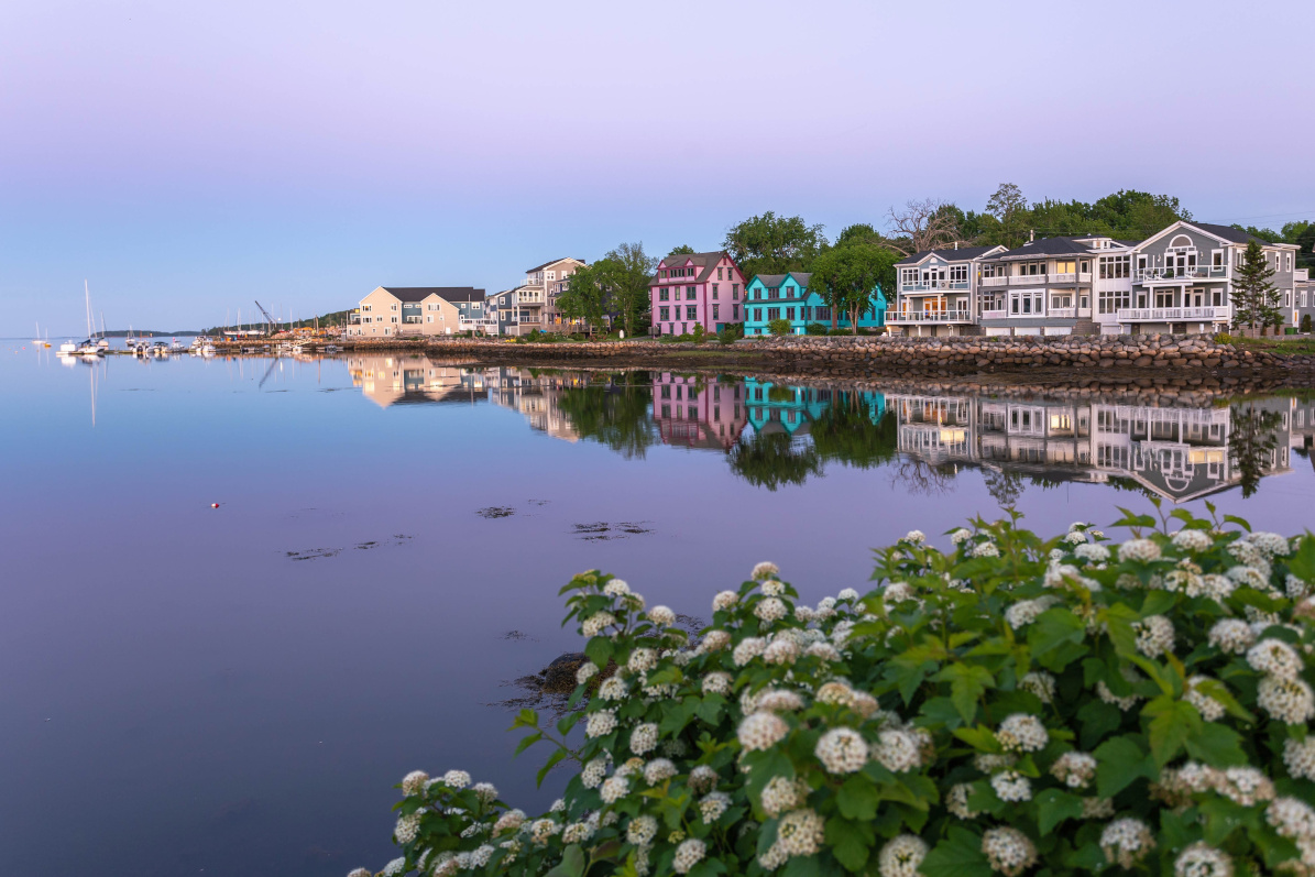 Calm harbour waters at low tide