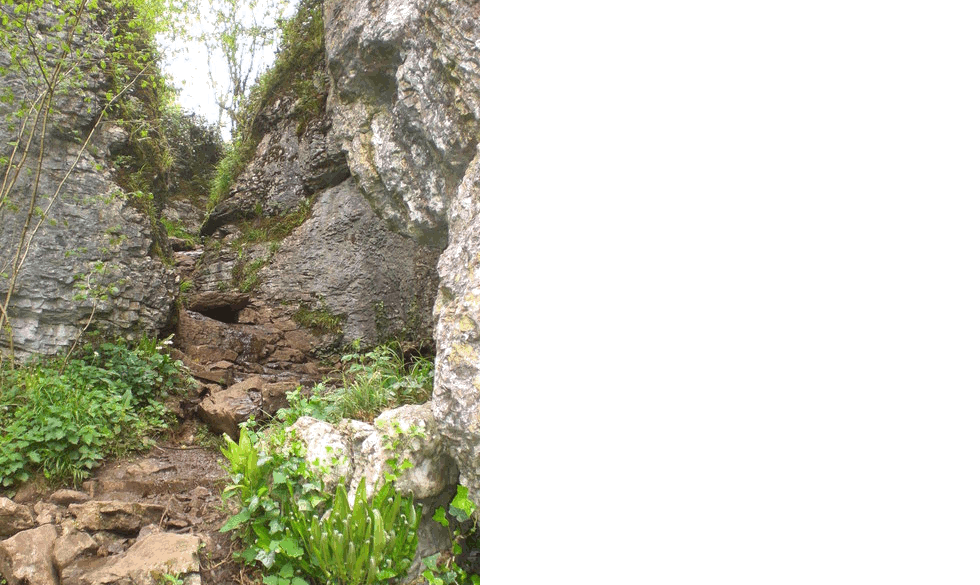 Dave Beynon / The narrow path through Ebbor Gorge