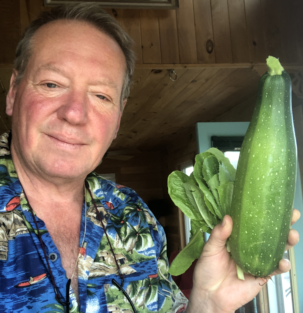 David's Zucchini